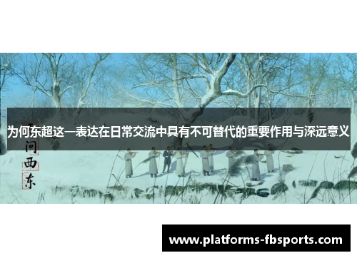 为何东超这一表达在日常交流中具有不可替代的重要作用与深远意义