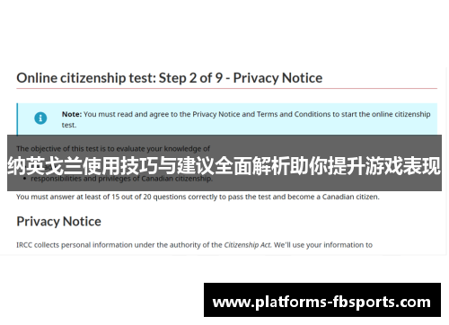 纳英戈兰使用技巧与建议全面解析助你提升游戏表现