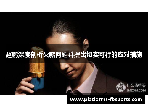 赵鹏深度剖析欠薪问题并提出切实可行的应对措施 赵鹏深度剖析欠薪问题并提出切实可行的应对措施