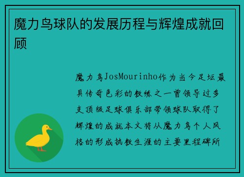 魔力鸟球队的发展历程与辉煌成就回顾